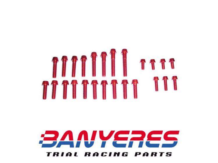 Vite di kit Ergal per Beta EVO Engine Red