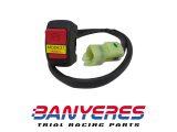 Swichi original Honda HRC pulsador cambio dos mapas ECU