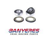 Cojinetes dirección y guarda polvo y arandelas no originales para Honda TLR 200-250.