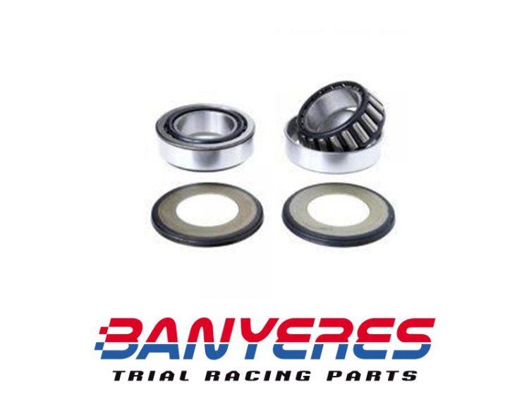 Cuscinetti sterzo e parapolvere e rondelle non originali per Honda TLR 200-250.