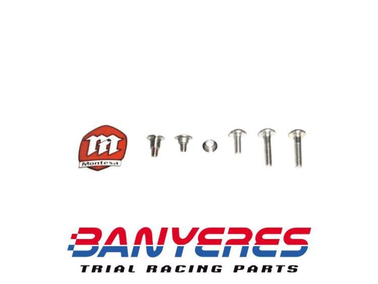 Kit tornillos originales plásticos para Montesa 4RT años 2009 - 2026.
