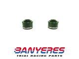Retens vàlvules originals per Honda TLR 250cc