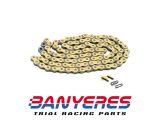 Cadena Regina 520X 100EB serie oro, 2 opciones 102 pasos / 106 Pasos