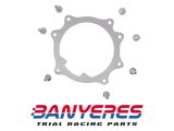 Fuel pump ring bracket with 5x12 bolts, original for Montesa Cota 4RT - 4Ride, years 2017 - 2026