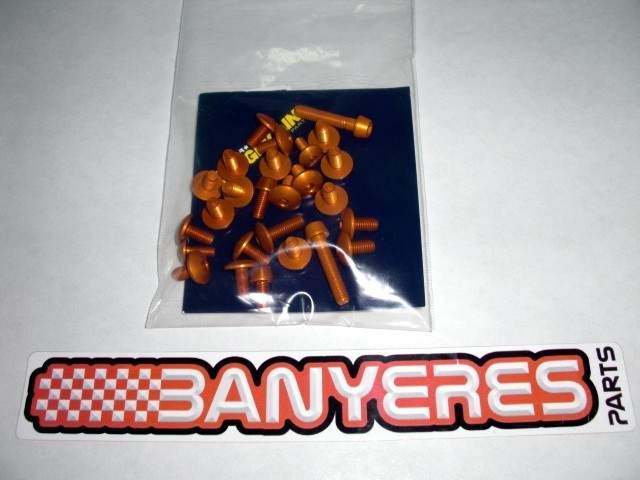 Kit tornillos avional per plasics per Beta EVO