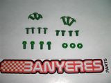 Kit tornilleria especial avional color verd per plastica per OSSA TR 280i